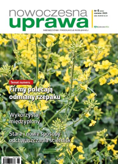 Miesięcznik 2025-06-03