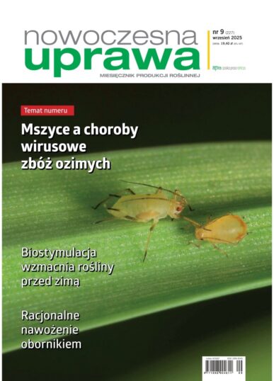 Miesięcznik 2025-08-28