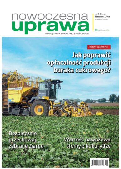 Miesięcznik 2025-10-01