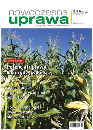 Miesięcznik 2025-11-20