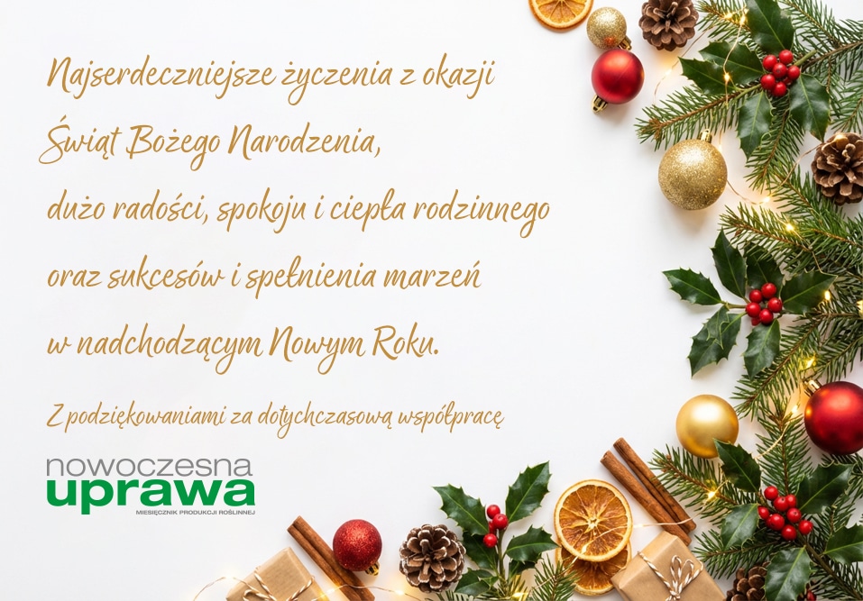 Wesołych Świąt Nowoczesna Uprawa